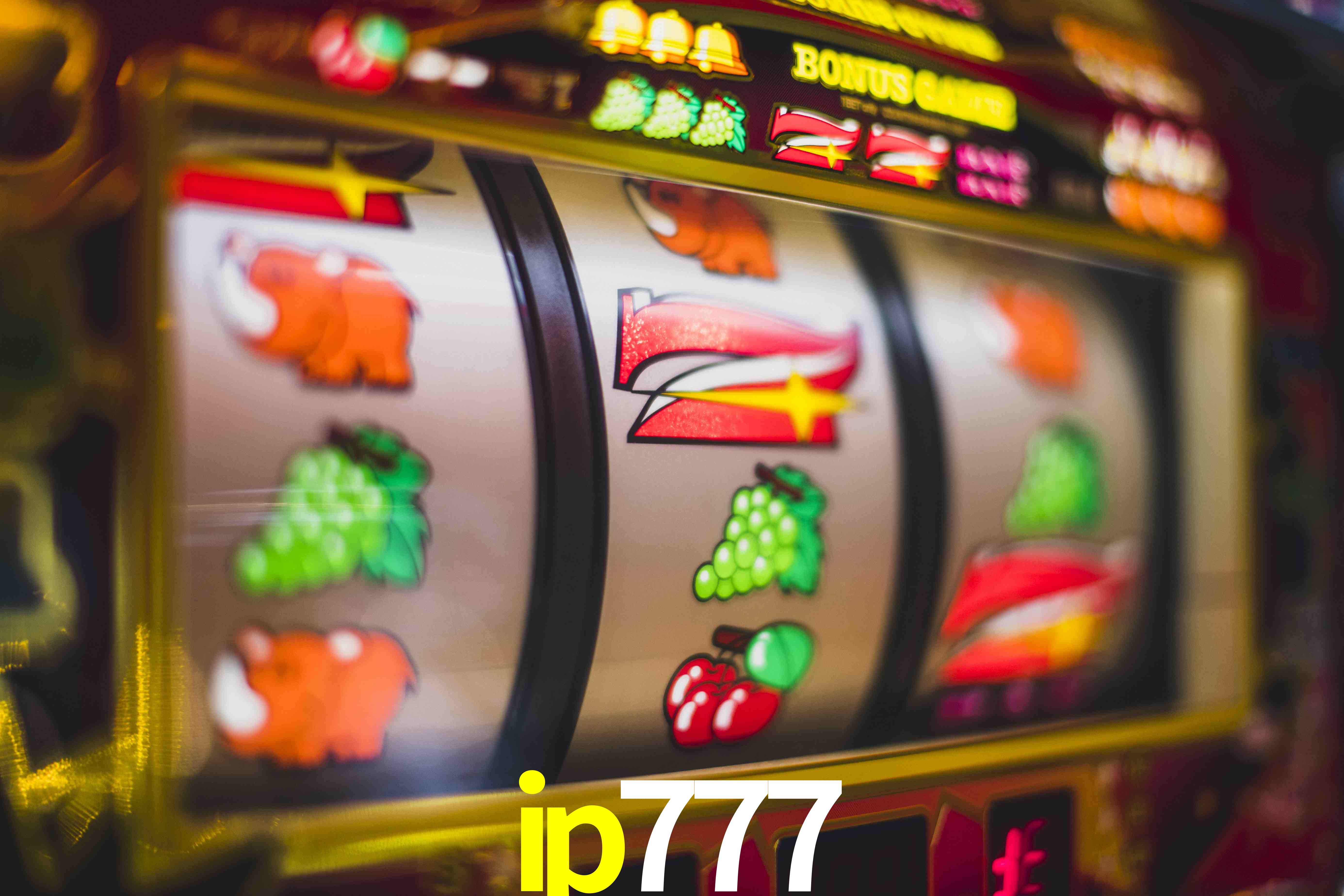 Sports Statistics ip777